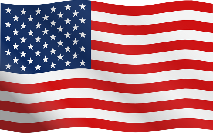 USA Flag Illustration