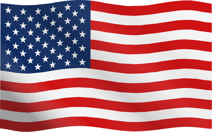 USA Flag Illustration